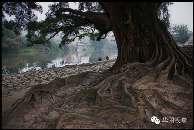 BIM--设计院之觞？还是希望？